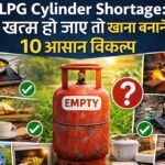cooking without LPG
